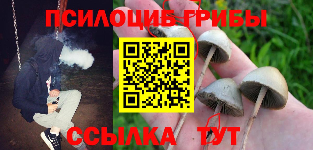 Галлюциногенные грибы мухоморы Чебаркуль