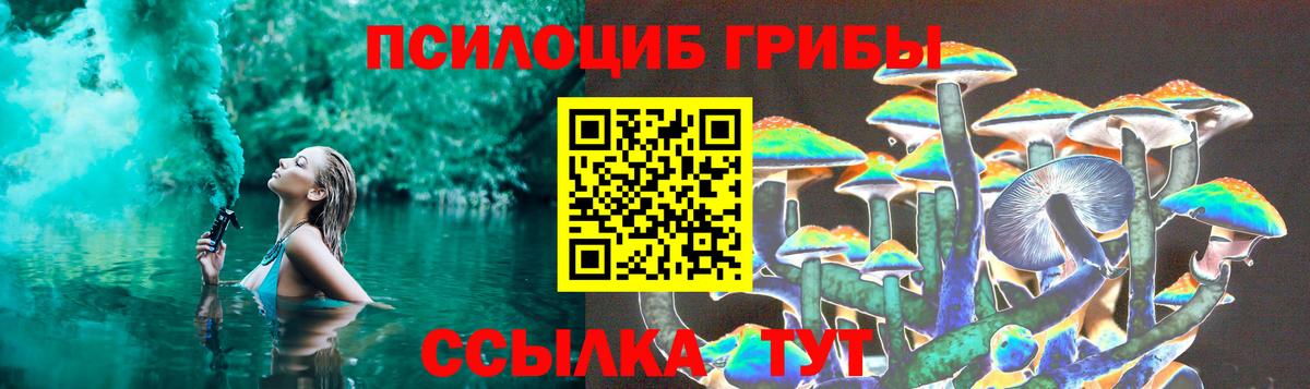 Чебаркуль  Галлюциногенные грибы прущие грибы  Вход с VPN 